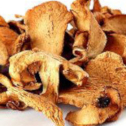 Cogumelos Secos/Desidratados